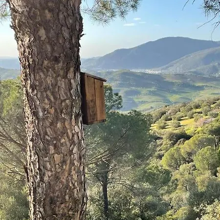 Holiday home La Bodeguilla Del Conde *