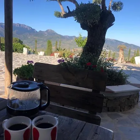 Holiday home La Bodeguilla Del Conde